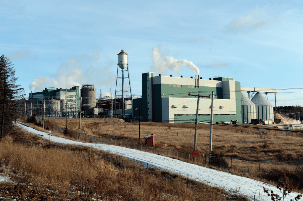 Le secteur de la foresterie a traversé plusieurs coups durs depuis 2003. | Photo : Jeannot Lévesque