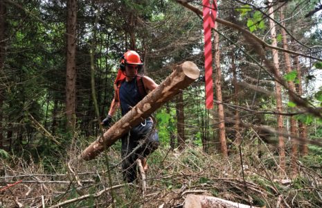 Forêt : qui écoutera celles et ceux qui en vivent ?