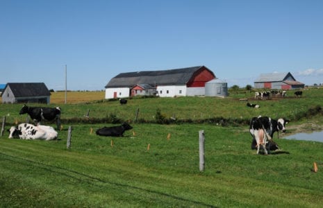 ALENA : les travailleurs et les agriculteurs québécois, victimes de l’administration Trump