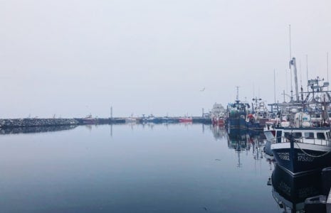 Tous dans le même bateau
