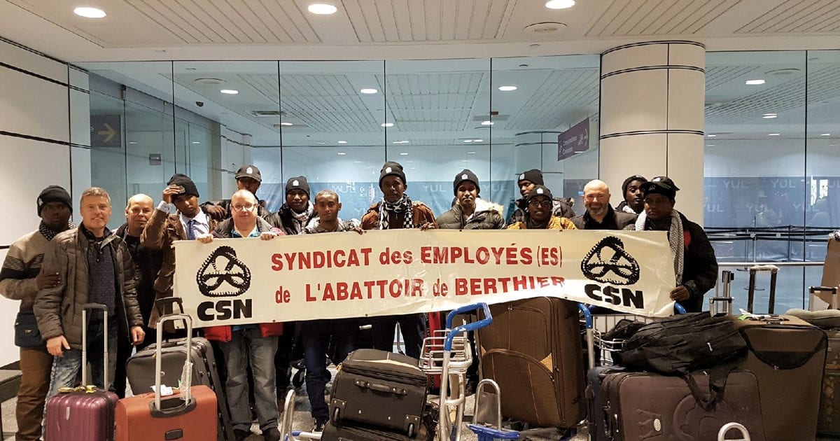 12 Djiboutiens entamant leur nouvelle vie au Québec en travaillant à l'abattoir de Berthier