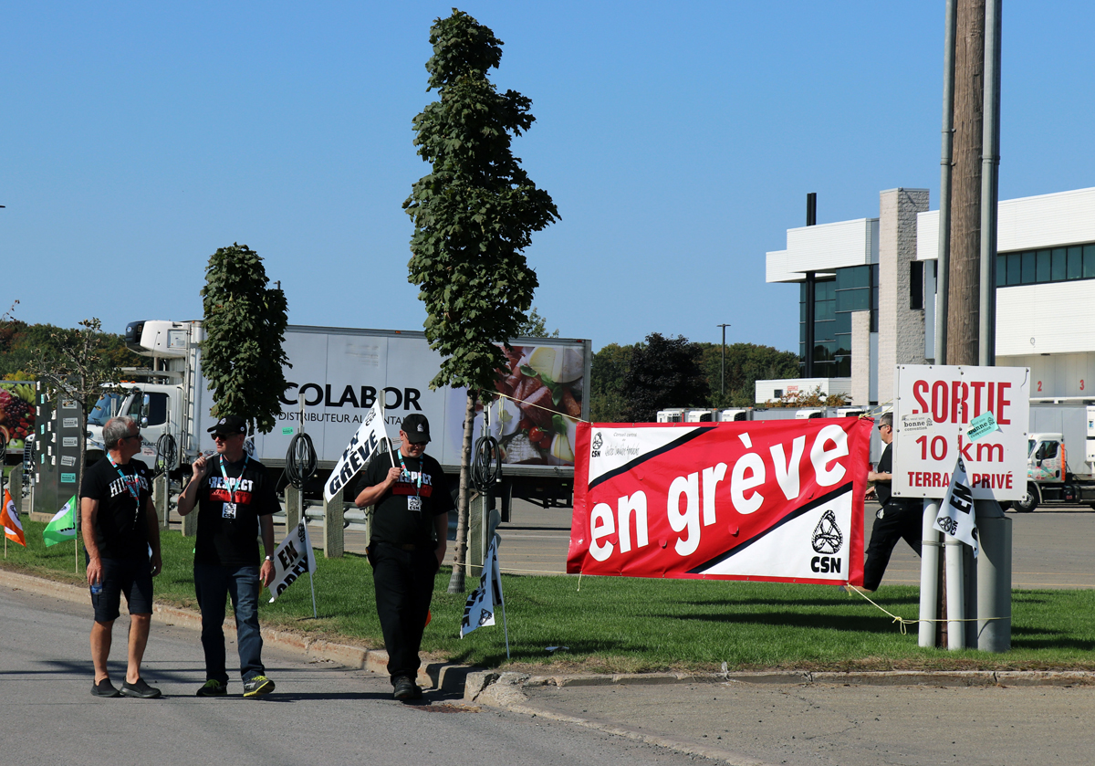 2021-09_collabor-greve_CSN