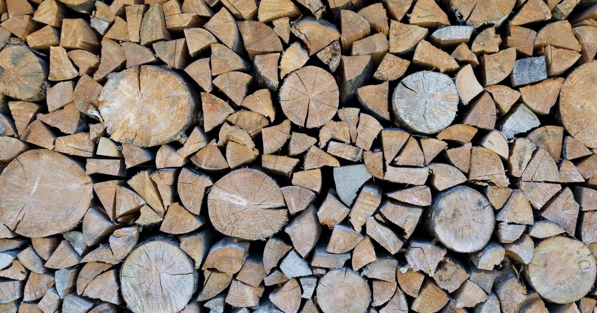 Set of felled logs