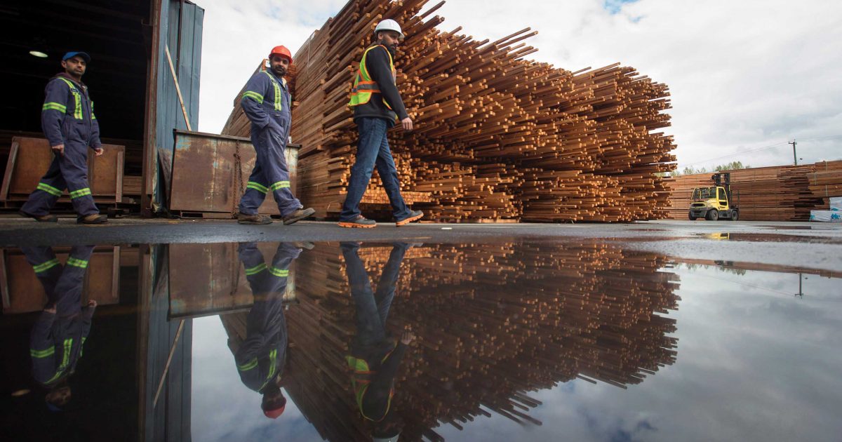 Photo : Darryl Dyck /  La presse canadienne