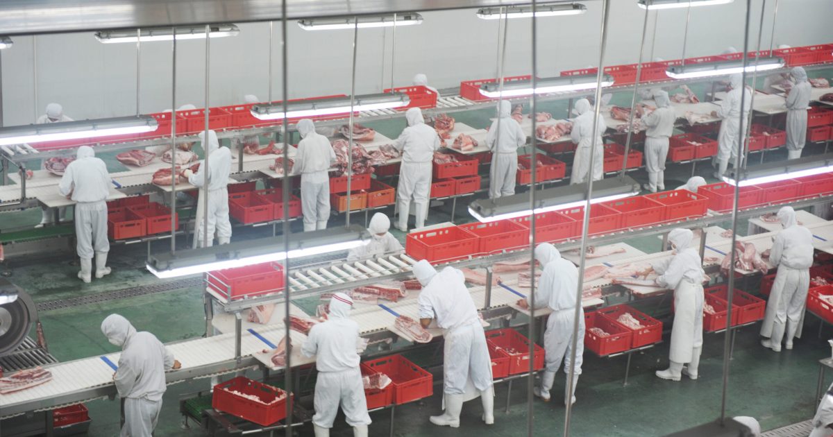 pork industry