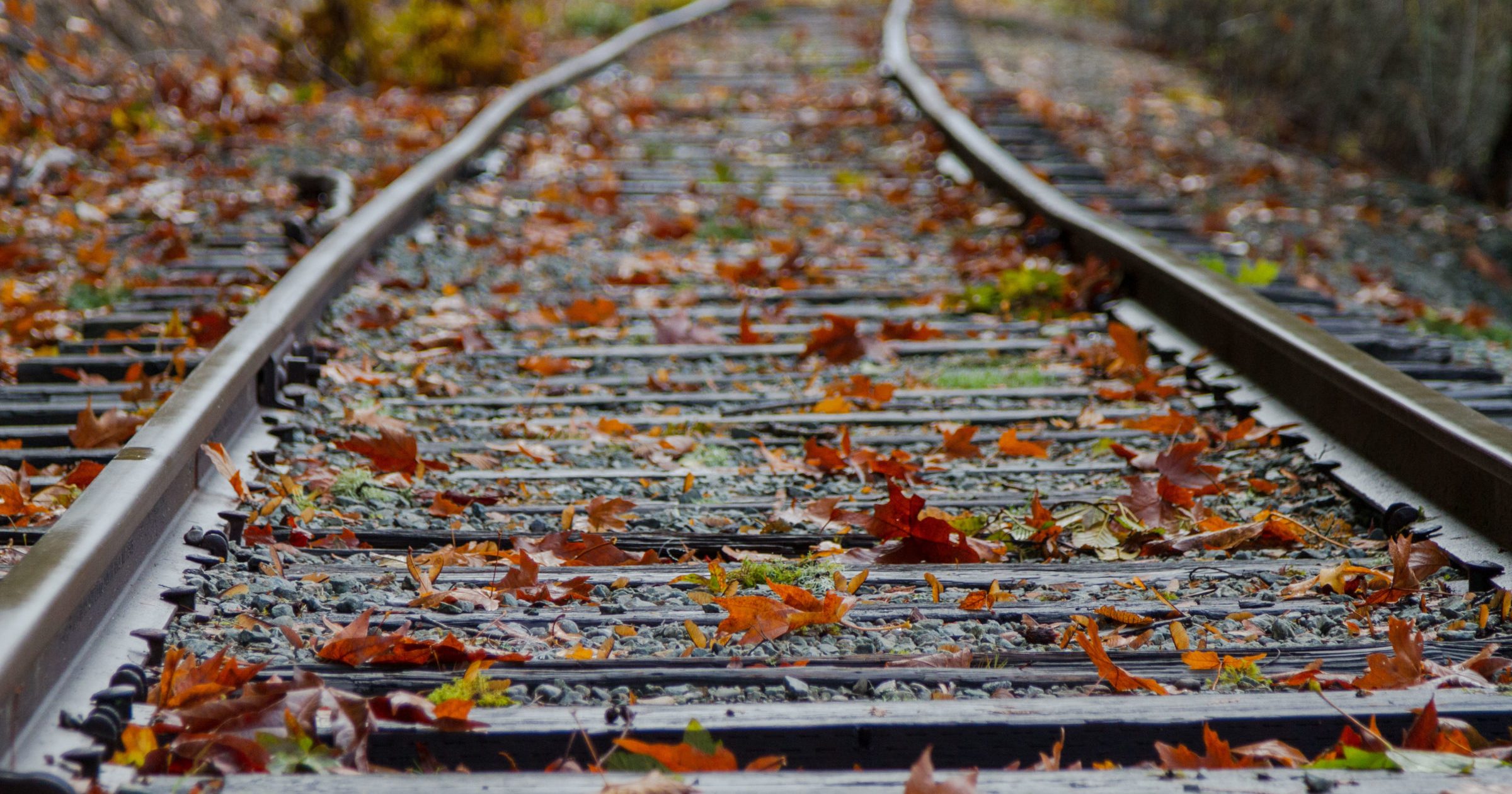 autumn leaves on traintracks