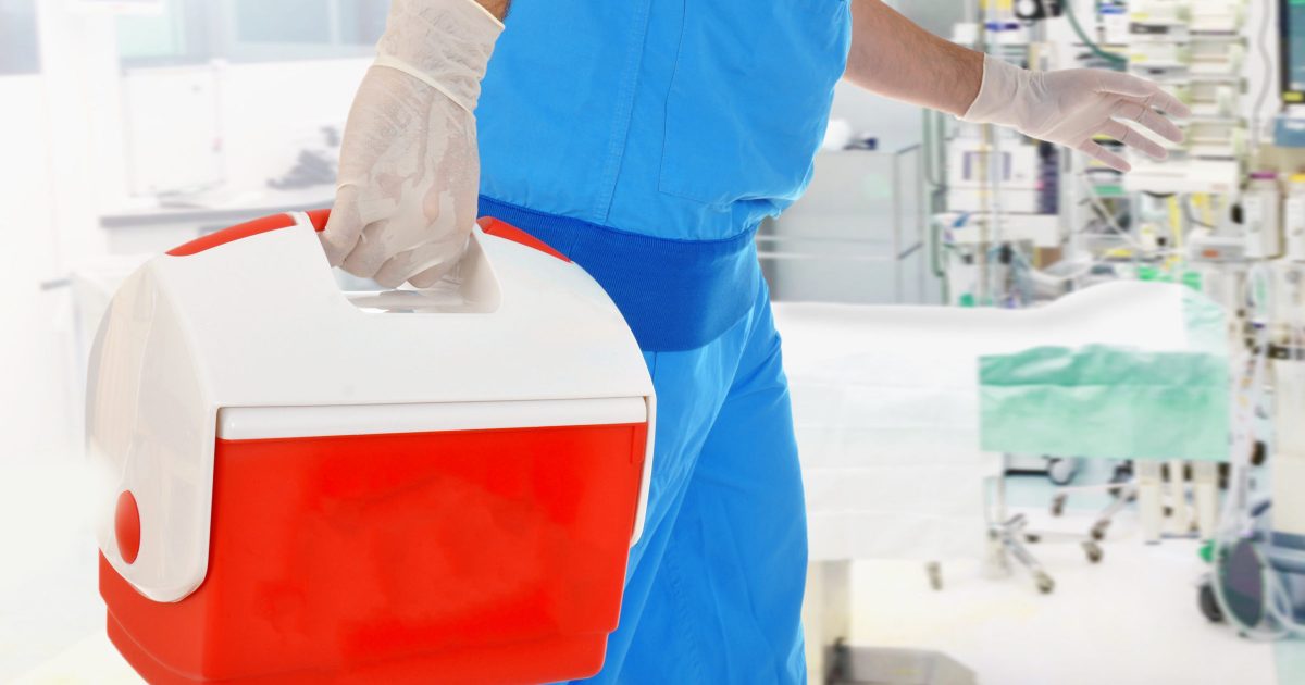Arzt bringt Organspende in OP für Organtransplantation